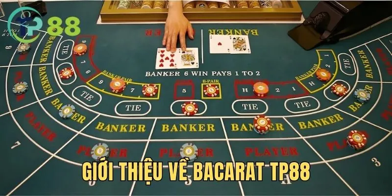 baccarat TP88 -Thế Giới Game Casino Đặc Sắc Nhất 2025 2 Giới thiệu sơ lược về baccarat TP88