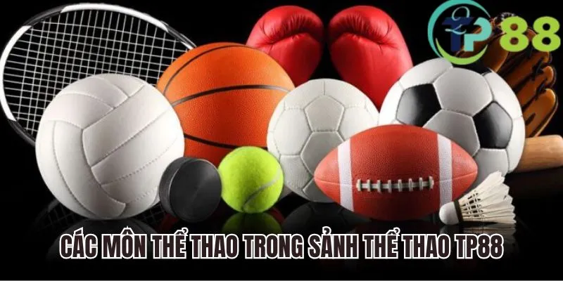 thể thao tp88 3 Các môn thể thao nổi bật trong sảnh thể thao TP88