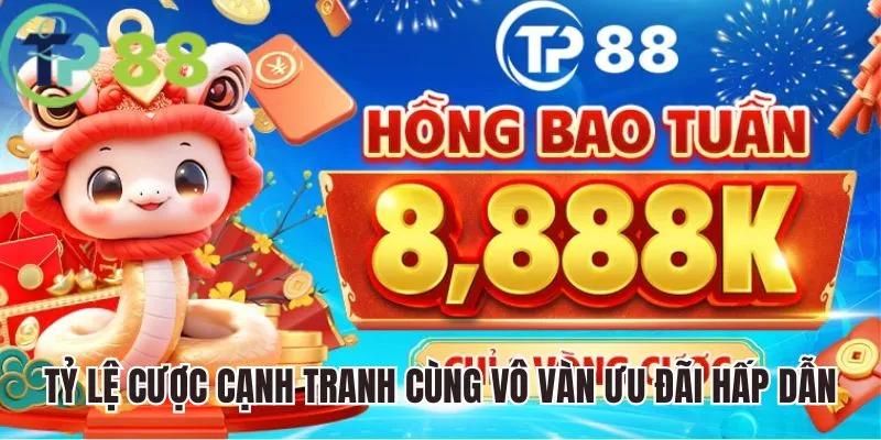 đăng ký tp88 2 Tỷ lệ cược cạnh tranh cùng vô vàn ưu đãi hấp dẫn